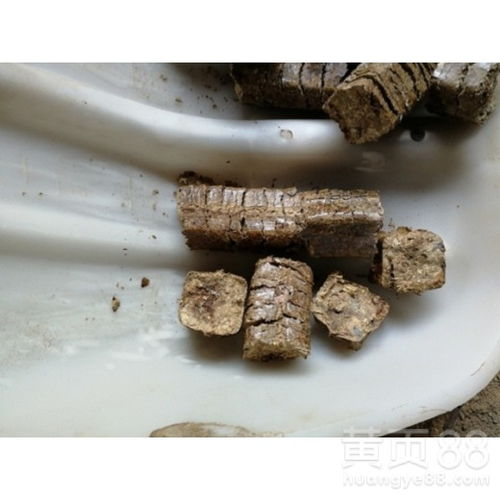 【鄭州秸稈燃料一噸環(huán)保產(chǎn)品】- 