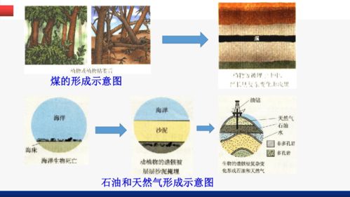 第七單元課題2燃料的合理利用與開發第1課時課件